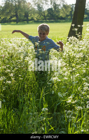 Ein sehr fröhlicher Junge läuft durch eine Wiese Kuh Petersilie und langes Gras im Sommer mit der Sonne glänzend und sehr glücklich Stockfoto