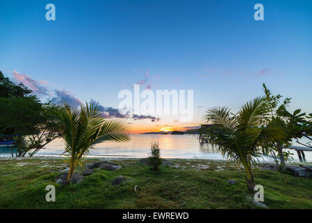 Golden Sunrise an exotischen Strand umgeben von üppigen grünen Palmenhain. Sommer Abenteuer auf der abgelegenen Togean Islands, Indonesien. Stockfoto