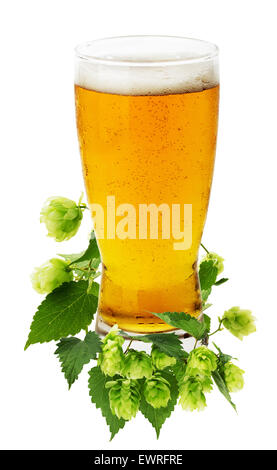 Glas Bier mit grünen Hopfen auf dem weißen Hintergrund isoliert. Stockfoto