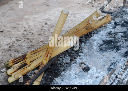 Kralan oder Khao Lam-süßer Reis in Bambus über die Kohlen im Feuer gekocht, traditionelle Thai Food Stockfoto