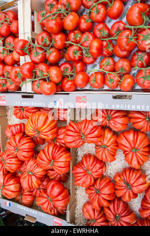 Paris, Frankreich, Marché, Aligre, Obst, Markt, outdoor, Paris, Tomaten Stockfoto