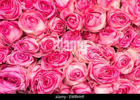 Paris, Frankreich, Marché, Aligre, Obst, Markt, outdoor, Paris, Rosen, Stockfoto