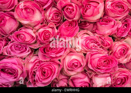 Paris, Frankreich, Marché, Aligre, Obst, Markt, outdoor, Paris, Rosen, Stockfoto