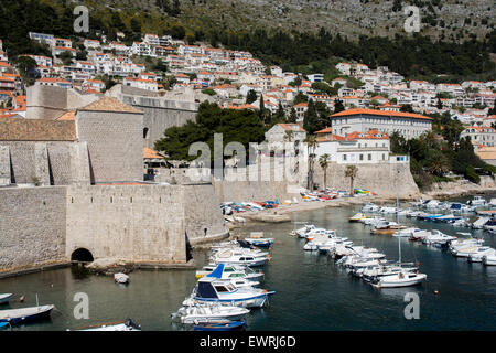 alte Stadt-Hafen und Wand, Dubrovnik, Kroatien Stockfoto