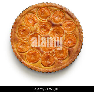 Aprikosen-Tarte isoliert auf weißem Hintergrund Stockfoto