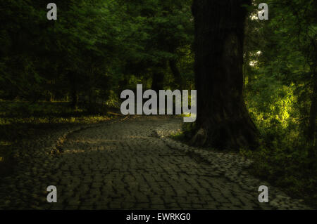 Dunkelgrauer gepflasterter Fußweg, der sich in einer Lichtung an grünen Bäumen entlang schlängelt. Wellen von Sonnenlicht durchschneiden die Szene Stockfoto