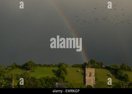 Regenbogen und schwarzen Himmel, Himmel während eines starken Regenschauers über Str. Marys Kirche, in der Stadt von Llanfair Caereinion,Powys,Wales,U.K. Stockfoto