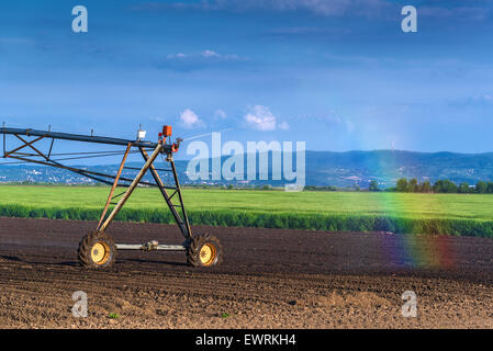 Automatische Bewässerung Sprinkler System im Betrieb mit kleinen Regenbogen auf bewirtschafteten landwirtschaftlichen Bereich Landwirtschaft Stockfoto