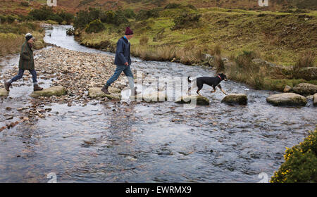 Fuß über Trittsteine auf Dartmoor. Stockfoto