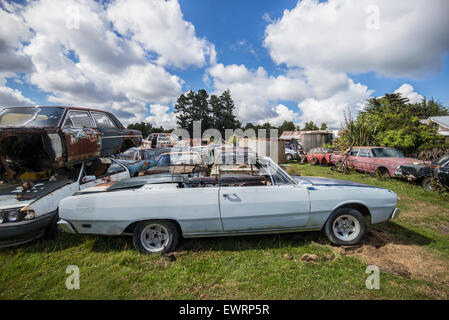 Oldtimer Cabrio - Sommer fahren. Stockfoto