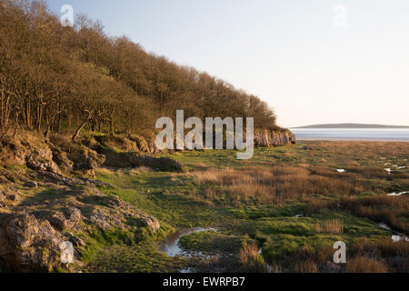 Weiße Creek Bucht in der Nähe von Arnside, Cumbria. Stockfoto