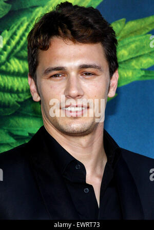 James Franco an der Los-Angeles-premiere von "Ananas Express" im Mann Village Theater in Los Angeles am 31. Juli 2008 statt. Stockfoto