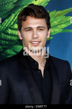 James Franco an der Los-Angeles-premiere von "Ananas Express" im Mann Village Theater in Los Angeles am 31. Juli 2008 statt. Stockfoto