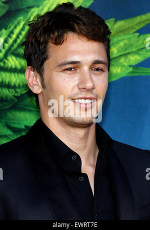 James Franco an der Los-Angeles-premiere von "Ananas Express" im Mann Village Theater in Los Angeles am 31. Juli 2008 statt. Stockfoto