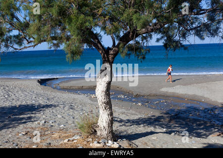 Landschaft des Tamarisken-Baumes am Strand von Plakias, Südkreta Strand Griechenland Europa Stockfoto