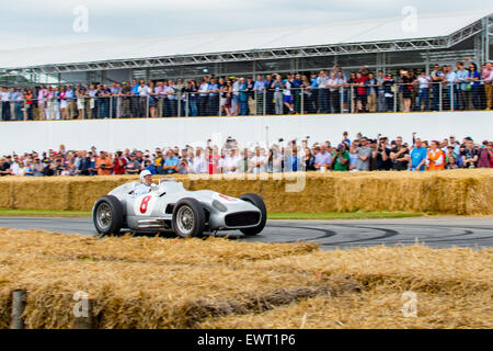 Goodwood Festival of Speed F1 Stockfoto