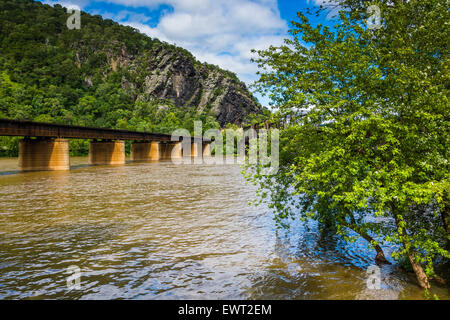 Eisenbahnbrücken über den Potomac River in Harpers Ferry, West Virginia. Stockfoto