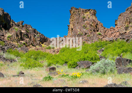 Horsethief Butte Klippen, Columbia Hills State Park, Columbia River Gorge National Scenic Area, Washington Stockfoto