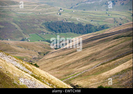 Blick Swaledale von den Buttertubs-Pass, North Yorkshire, UK. Stockfoto