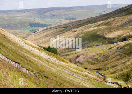 Blick Swaledale von den Buttertubs-Pass, North Yorkshire, UK. Stockfoto