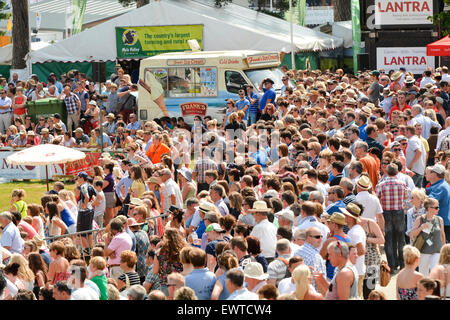 Großer Andrang auf der Royal Welsh Show alljährlich bei Builth Wells in Wales, einer von Großbritanniens größten Landschaft sammeln. Stockfoto