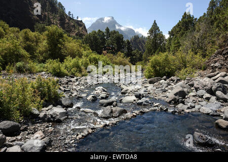 Rio Taburiente Caldera de Taburiente National Park, La Palma, Kanarische Inseln, Spanien Stockfoto