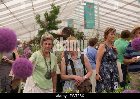 East Molesey, Surrey, UK. 30. Juni 2015. Besucher diskutieren Blumen im Festzelt an der RHS Hampton Court Palace Flower Show auf seinem 25. Anniversar Kredit: Keith Larby/Alamy Live News Stockfoto