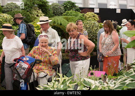 East Molesey, Surrey, UK. 30. Juni 2015. Besucher im Festzelt an der RHS Hampton Court Palace Flower Show auf seinem 25. Anniversar Kredit: Keith Larby/Alamy Live News Stockfoto