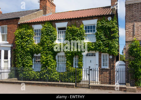 Ein georgianisches Haus bedeckt mit wildem Wein in der Market Square Easingwold North Yorkshire England Stockfoto