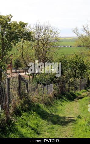 Ansicht der Romney Marsh aus Saxon Shore Weg im Port Lympne Wild Animal Park, Lympne, Folkestone, Kent, England, Vereinigtes Königreich Stockfoto