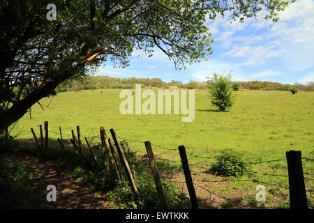 Blick auf Hügel mit Blick in Richtung Lympne Burg aus öffentlichen Fußweg, Lympne, Folkestone, Kent, England, Vereinigtes Königreich Stockfoto