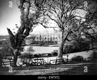 Gisborough Priory, North Yorkshire. 24. Juni 1960. Stockfoto