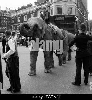 Billy Smart Zirkustiere, Victoria, London zu verlassen. 18. September 1955. Stockfoto