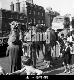 Billy Smart Zirkustiere, Victoria, London zu verlassen. 18. September 1955. Stockfoto