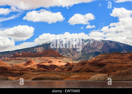 Canyon Wände am Lake Powell an der Grenze zwischen Arizona und Utah, USA Stockfoto