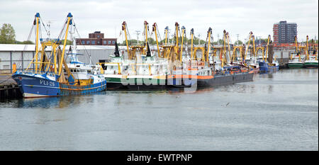 Bunte Fischerboote vertäut in De Vissershaven, der Hafen von IJmuiden, Nordholland, Niederlande. Stockfoto