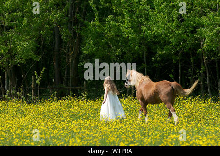 Junges Mädchen und Pony in Butterblumen Stockfoto