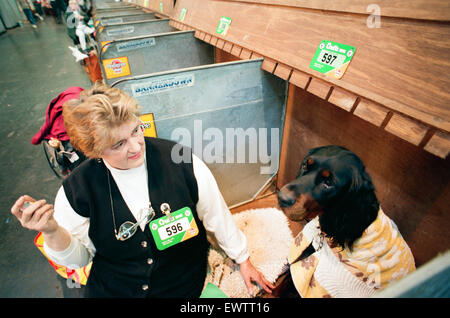 Crufts Dog Show, statt im NEC. 16. März 1994. Stockfoto