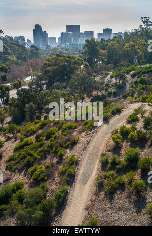 Blick auf die Innenstadt von San Diego, Kalifornien mit Park Trail im Vordergrund. Stockfoto