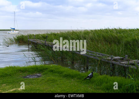 Lake Alexandrina in South Australia, Australien Stockfoto