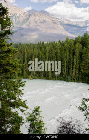 Wapta fällt in der Nähe von Lake Louise in Kanada Stockfoto