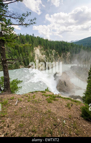 Wapta fällt in der Nähe von Lake Louise in Kanada Stockfoto