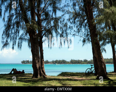 La Porzellanfarbe Strand Mont Choisy Ile Maurice Stockfoto