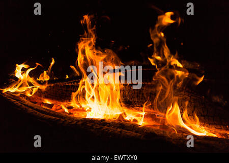 Leuchtend goldene Farbe Flammen und Glut von einem Lagerfeuer in der Nacht Stockfoto