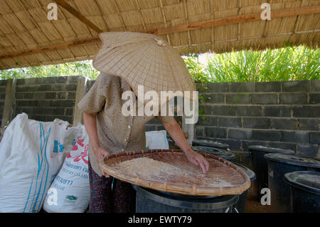 Eine ältere Thai Frau reinigt Kornreis, Provinz Loei, Thailand Stockfoto