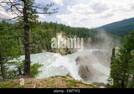 Wapta fällt in der Nähe von Lake Louise in Kanada Stockfoto