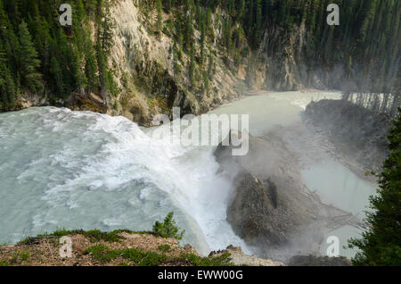 Wapta fällt in der Nähe von Lake Louise in Kanada Stockfoto