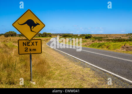 Warnzeichen für Känguru Überfahrt auf Austalian Landstraße. Stockfoto