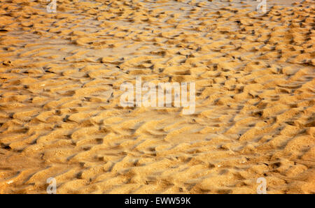 Muster in den Sand ergab bei Ebbe bei Cromer, Norfolk, England, Vereinigtes Königreich. Stockfoto