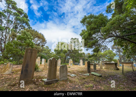 Alte Grabsteine auf der Insel der Toten befindet sich im Hafen von Port Arthur, Tasman Halbinsel, Tasmanien, Australien. . Stockfoto